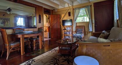 Rain Forest Apartment!