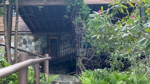 A stone staircase leading up to a wooden bridge, surrounded by lush greenery and ferns.