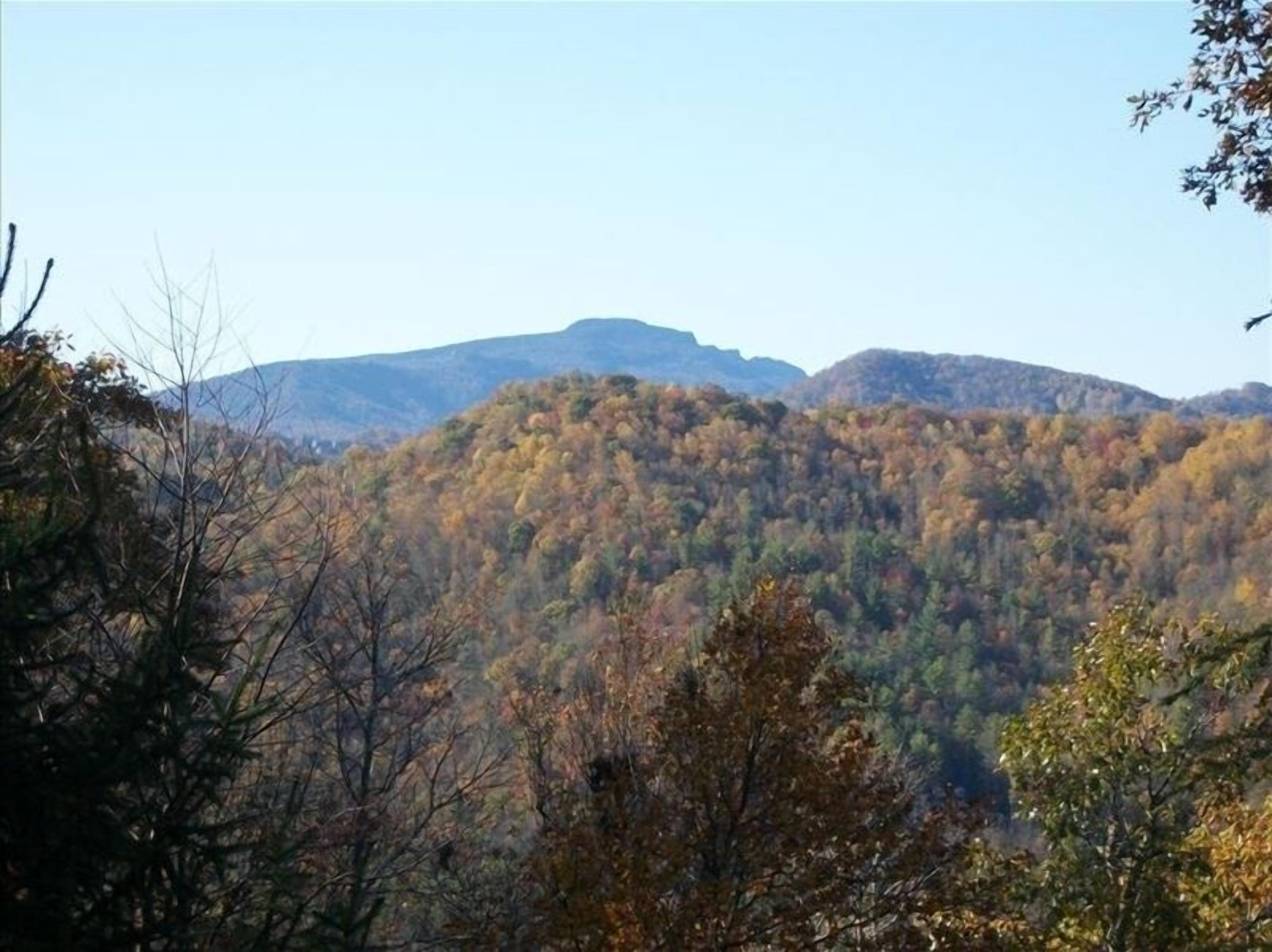 Paesaggio montuoso con foglie autunnali.