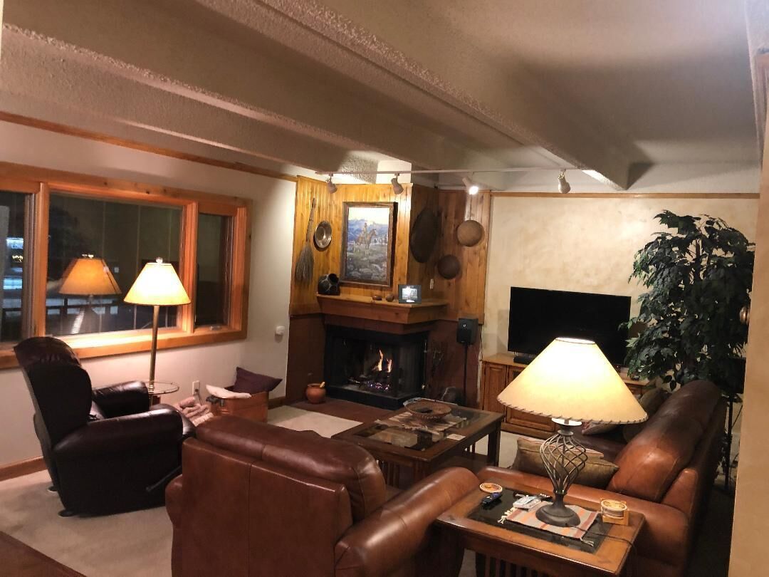TV, fireplace, DVD player, video library