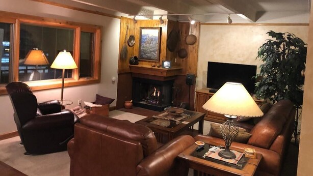 A cozy living room with leather furniture, a fireplace, a television, and a large plant. - Newly Remodeled 2Bd, 2Ba/ Steps From The Super B-lift /ski rental/restaurant/bus (Frisco)