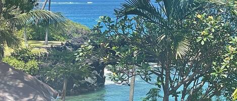 Un resort tropical con vista al océano, exuberante vegetación y una estructura de techo de paja.