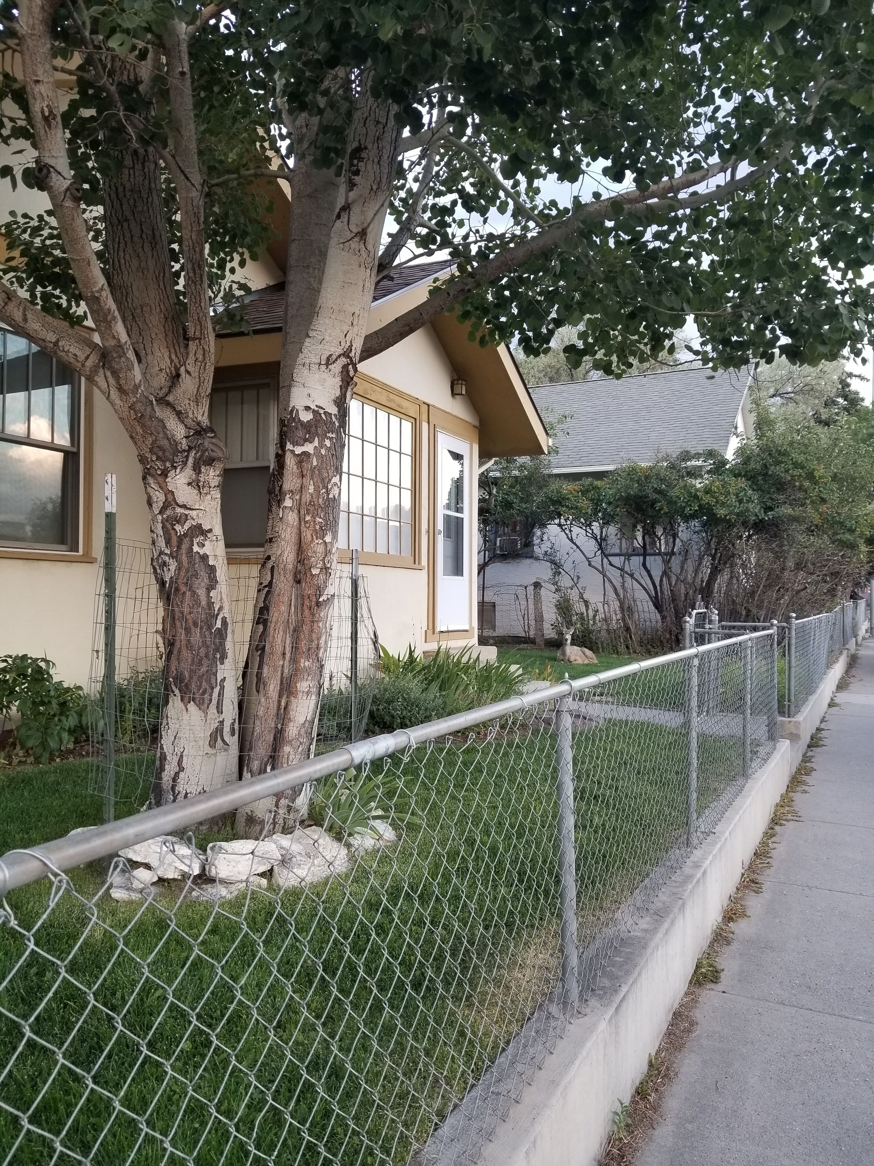 Cottage with Garden
