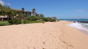 Une plage avec un bâtiment, des palmiers et un ciel dégagé.