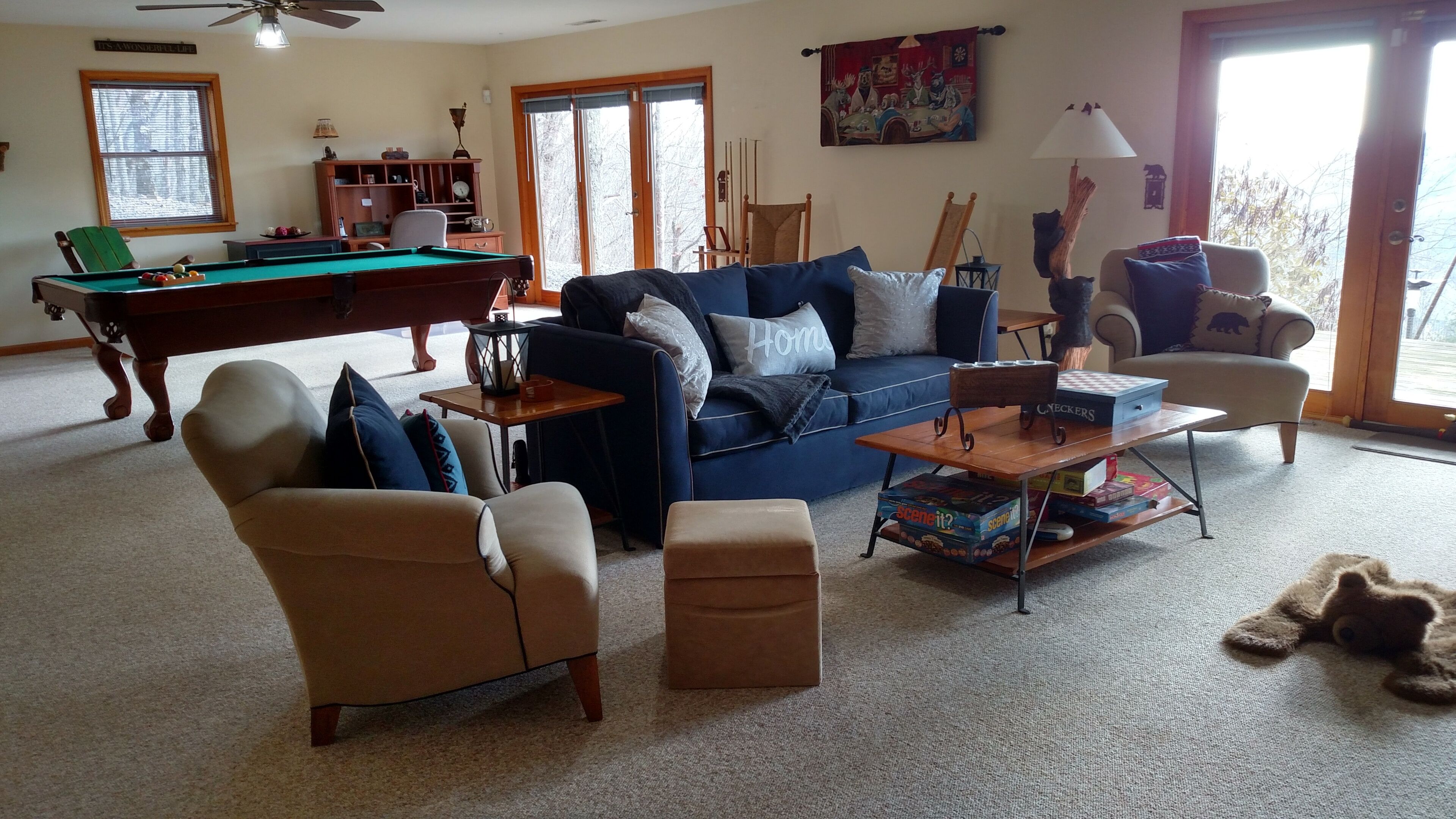 Smart TV, fireplace, books, music library