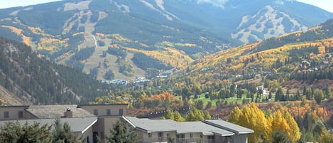 Ulkopuoli