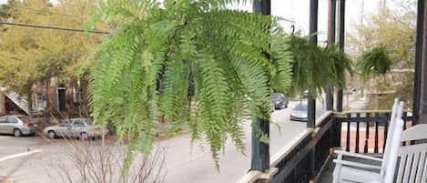 Terrain de lâhĂ©bergement