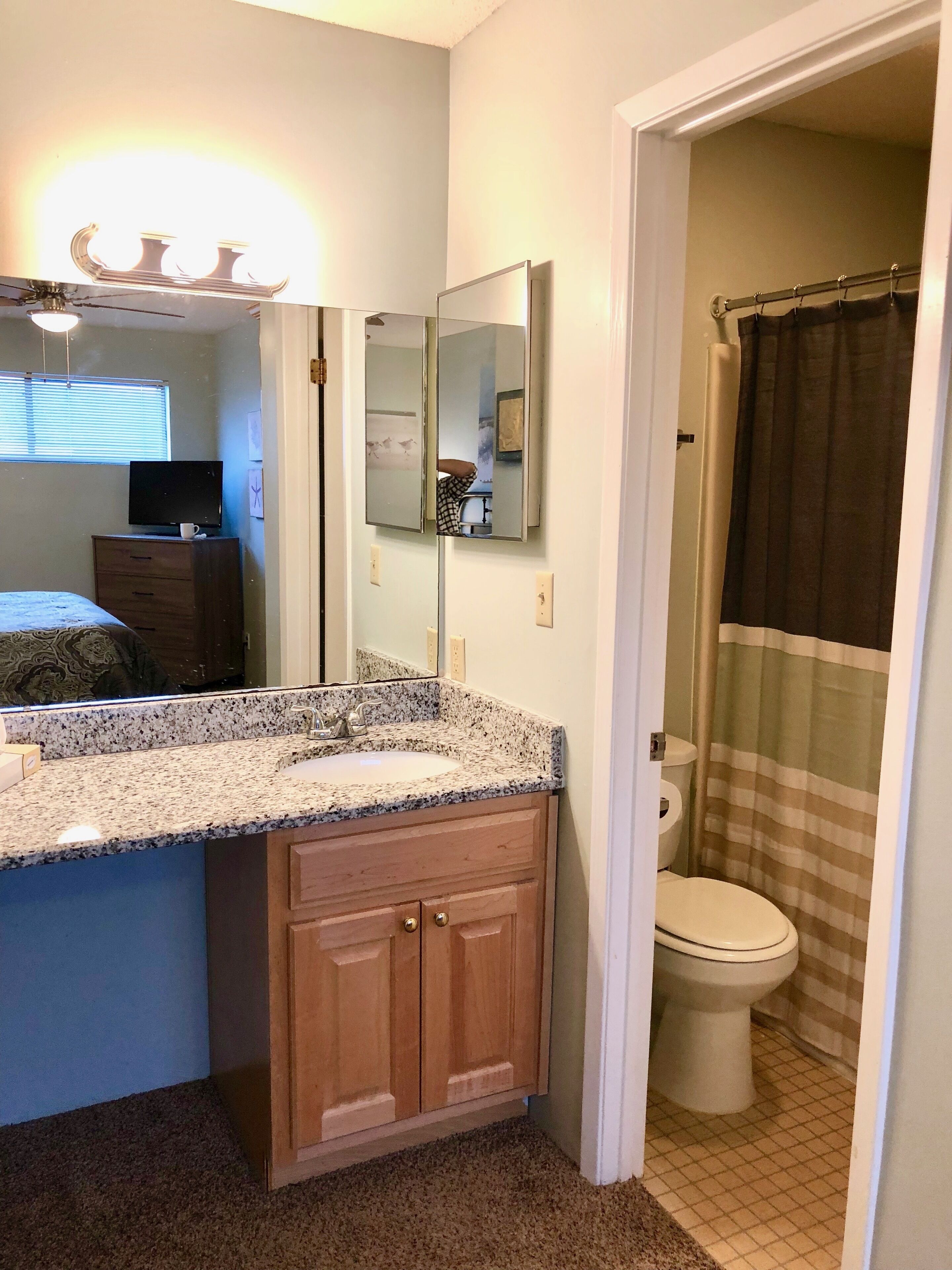A bathroom with a granite countertop sink, wooden cabinets, a mirror, a toilet, and a shower curtain.