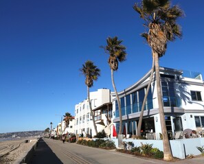 A coastal building with a beach view, palm trees, and a sign indicating a speed limit of 8 MPH. - Ocean Front Condo On the Sand with Ocean View - Clean (San Diego)
