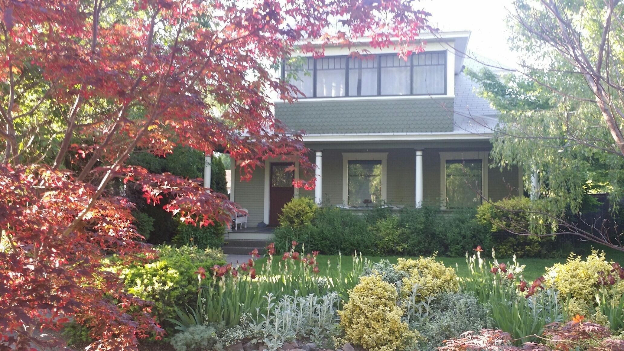 The Haven - Whitman College Neighborhood. Walk to Main St. Hot tub/Families/Pets