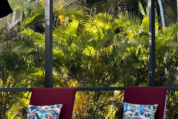 Tropical Palm Tree Oasis Next to Pool Lanai for All Day Private Sunbathing