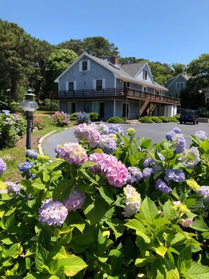 A two-story house with a balcony, surrounded by a garden with hydrangea flowers.