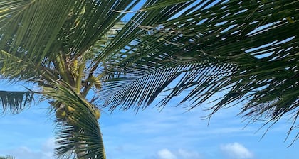 KELLY KREST, BEACH FRONT WITH STUNNING VIEWS OF GORGEOUS PINK SANDS BEACH