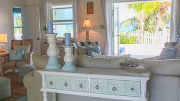 TV connectée, cheminée, lecteur de DVD, livres