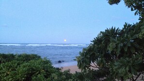 Escena de playa con olas del océano, una orilla arenosa y vegetación densa al frente.