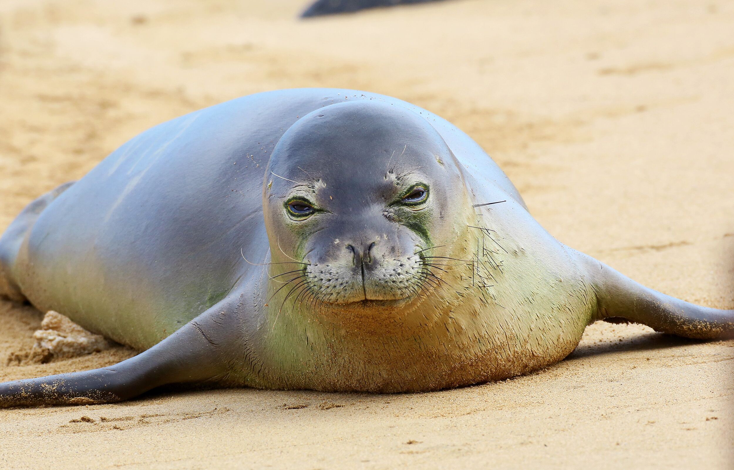 At the Shore on Aliomanu BAY-TVNC-1127 - Photo 10