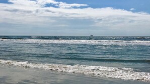 A beach with waves and a distant ship.