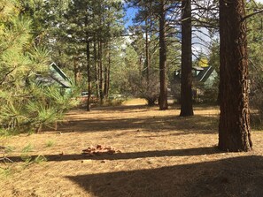 Terrain de l’hébergement 