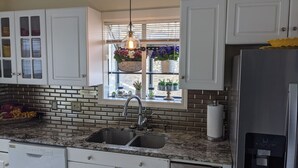 A kitchen with white cabinets, a double sink, a granite countertop, and a window with potted plants.