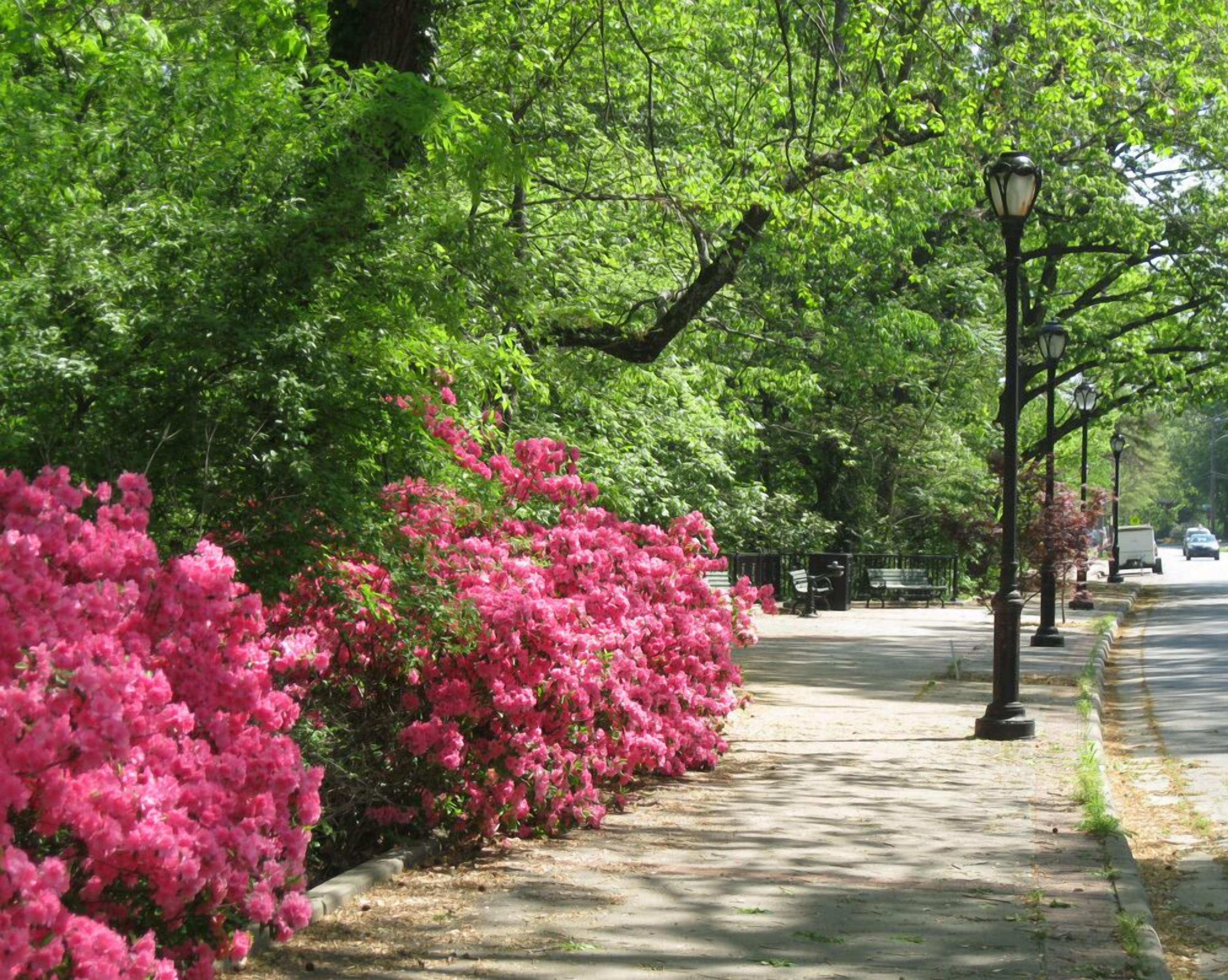 Alsop Park- close by
