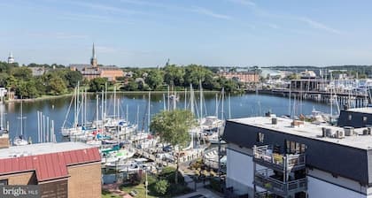 Beautiful Condo - Water View Near City Dock