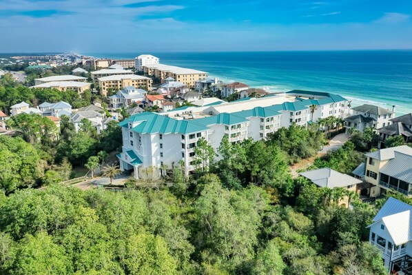 Experience a beachfront retreat surrounded by lush greenery and palm trees.
