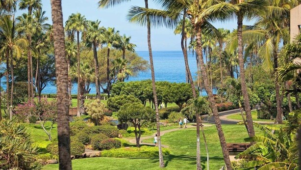 Un exuberante jardín con palmeras y vistas al océano.
