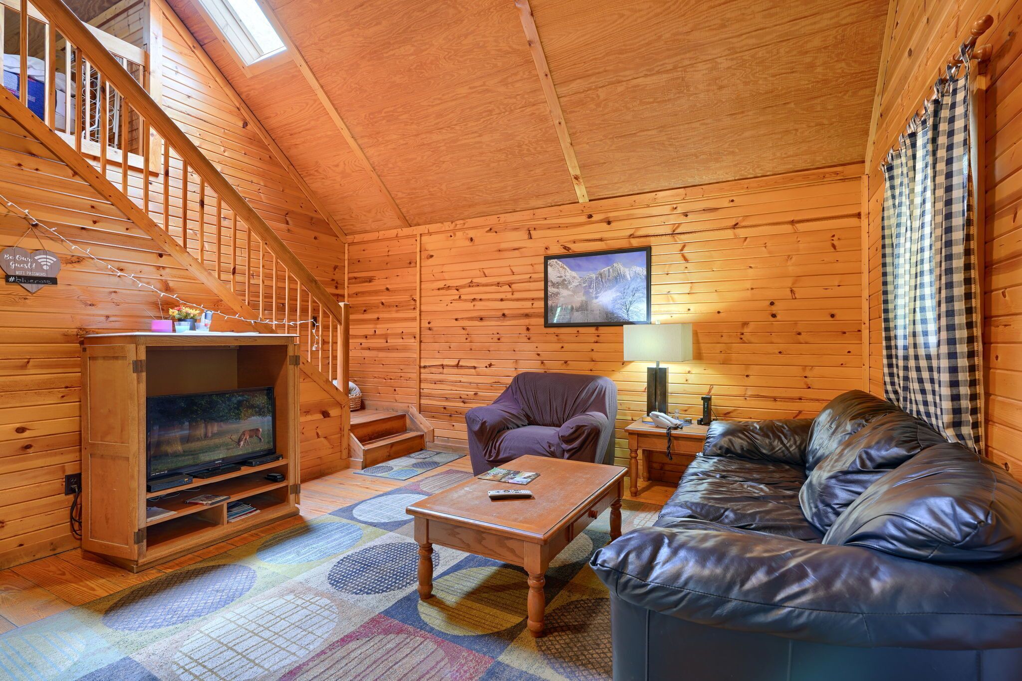 TV, fireplace, DVD player