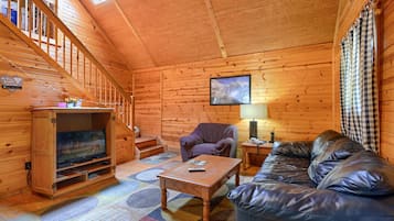 Televisor, llar de foc i reproductor de DVD