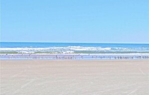 Plage, chaises longues, serviettes de plage