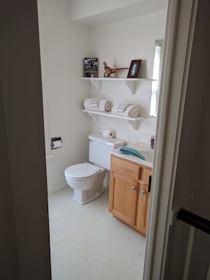 Ensemble douche/baignoire, sĂšche-cheveux, serviettes fournies, savon