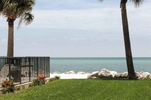 A coastal view with a grassy area, palm trees, and a metal fence.