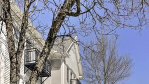 Una hilera de edificios residenciales de varios pisos con fachadas de piedra y madera, cercas blancas de piquete y un cielo azul despejado.