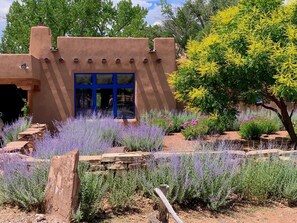 A building with a distinctive stucco exterior and a blue-framed window.
