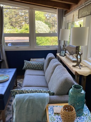 Smart TV, DVD player, books, video library