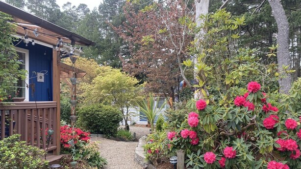 Un sendero de jardín que lleva a una casa de madera con puerta azul, rodeada de diversas plantas y árboles.