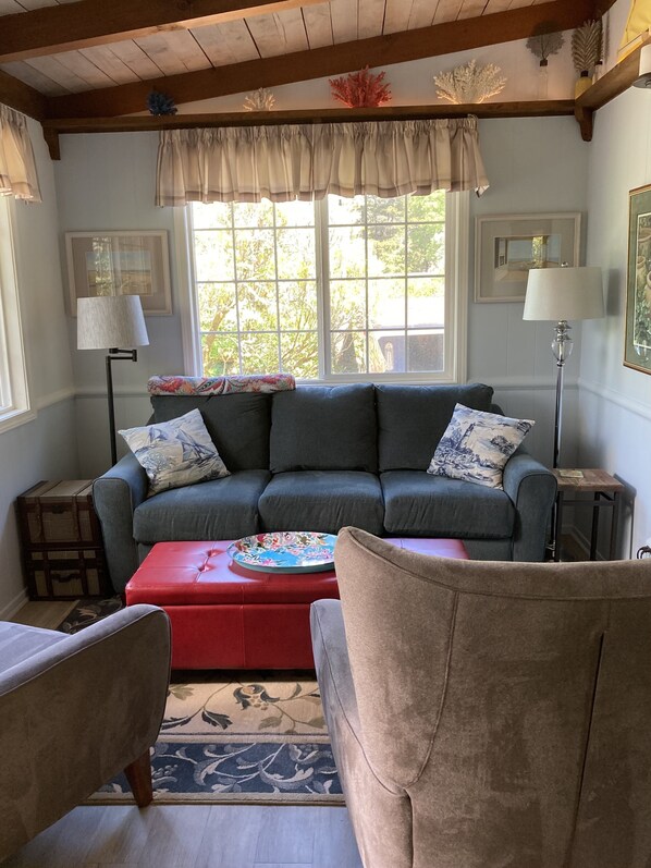 Smart TV, DVD player, books, video library