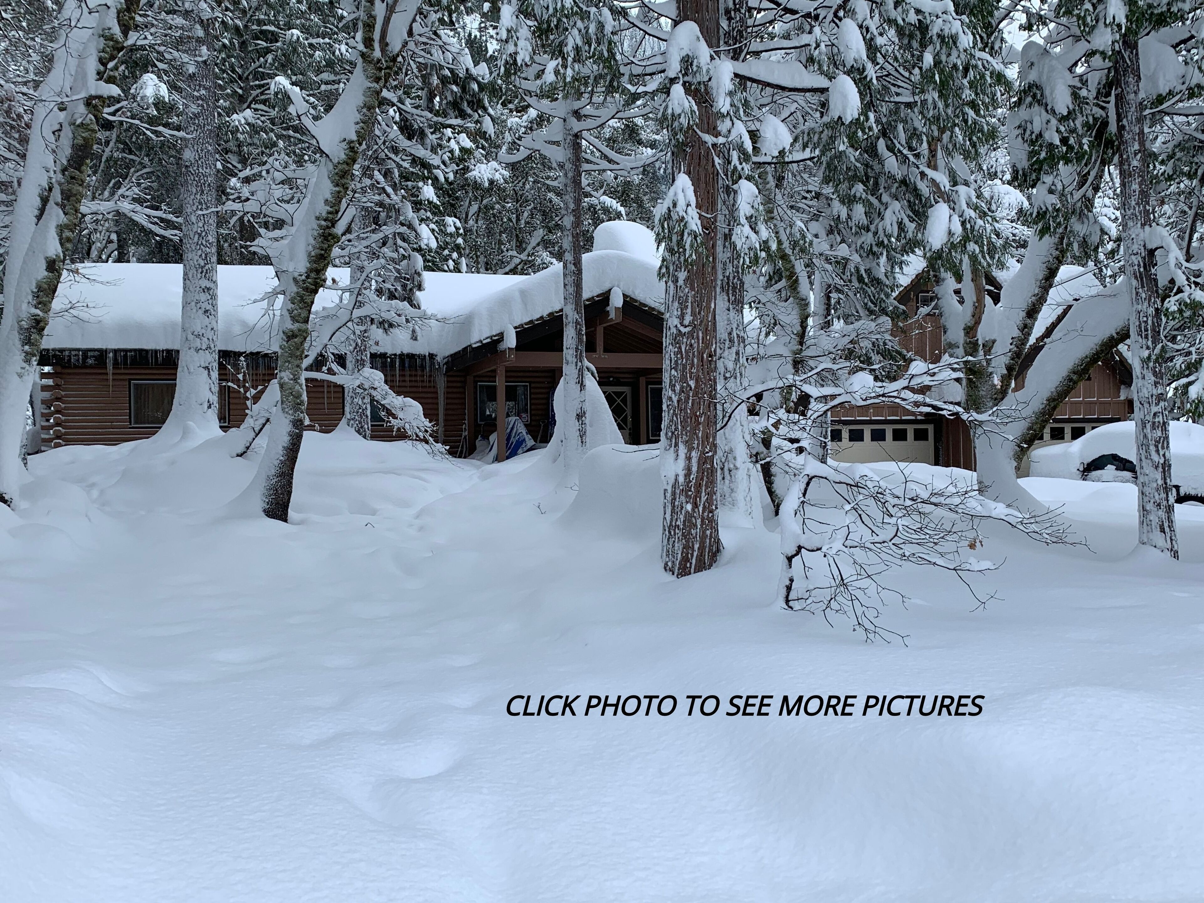 River Front Mountain Cabin in the California Alps!