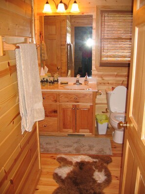 Une salle de bain rustique, aménagée dans une cabane en bois, avec un lavabo, des toilettes et un miroir.