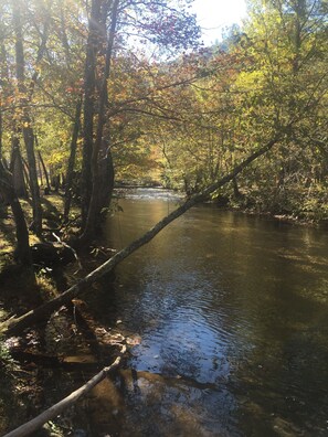 A forested area with a calm river, trees with autumn foliage, and sunlight filtering through. - Bear Claw Cabin,  Located in Blairsville,Ga ! On Richard Russell Scenic Hwy !! (Blairsville)