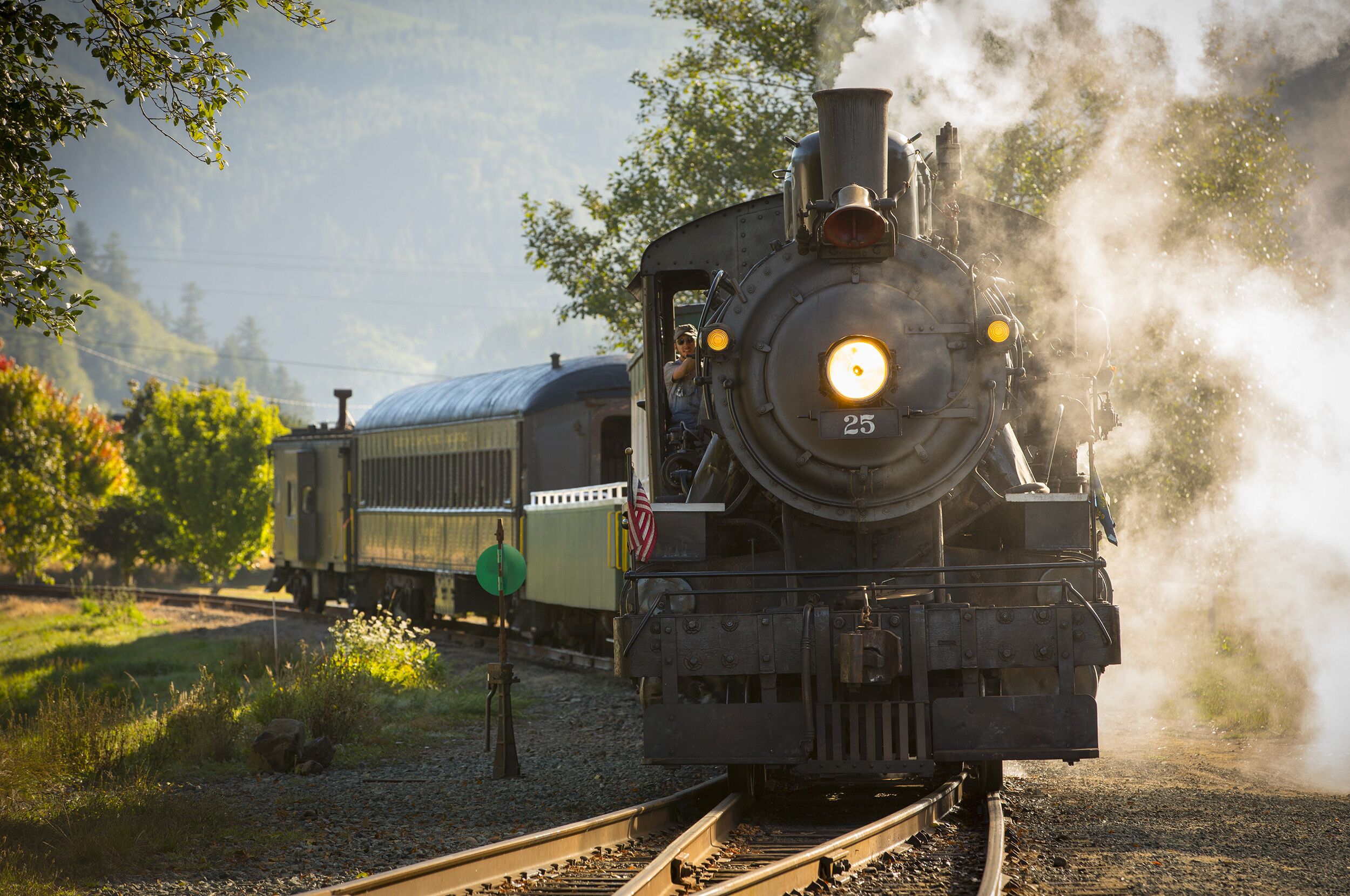 A steam locomotive with a number 25 on its front, pulling a passenger car through a rural landscape with greenery and a clear sky.
