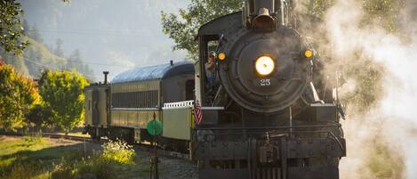 A steam locomotive with a number 25 on its front, pulling a passenger car through a rural landscape with greenery and a clear sky.