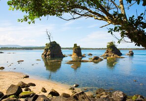 Plage, chaises longues, serviettes de plage