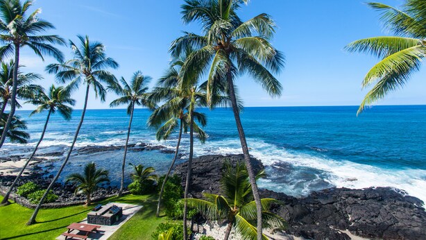 A tropical beach with palm trees, a rocky shoreline, and a clear blue ocean.