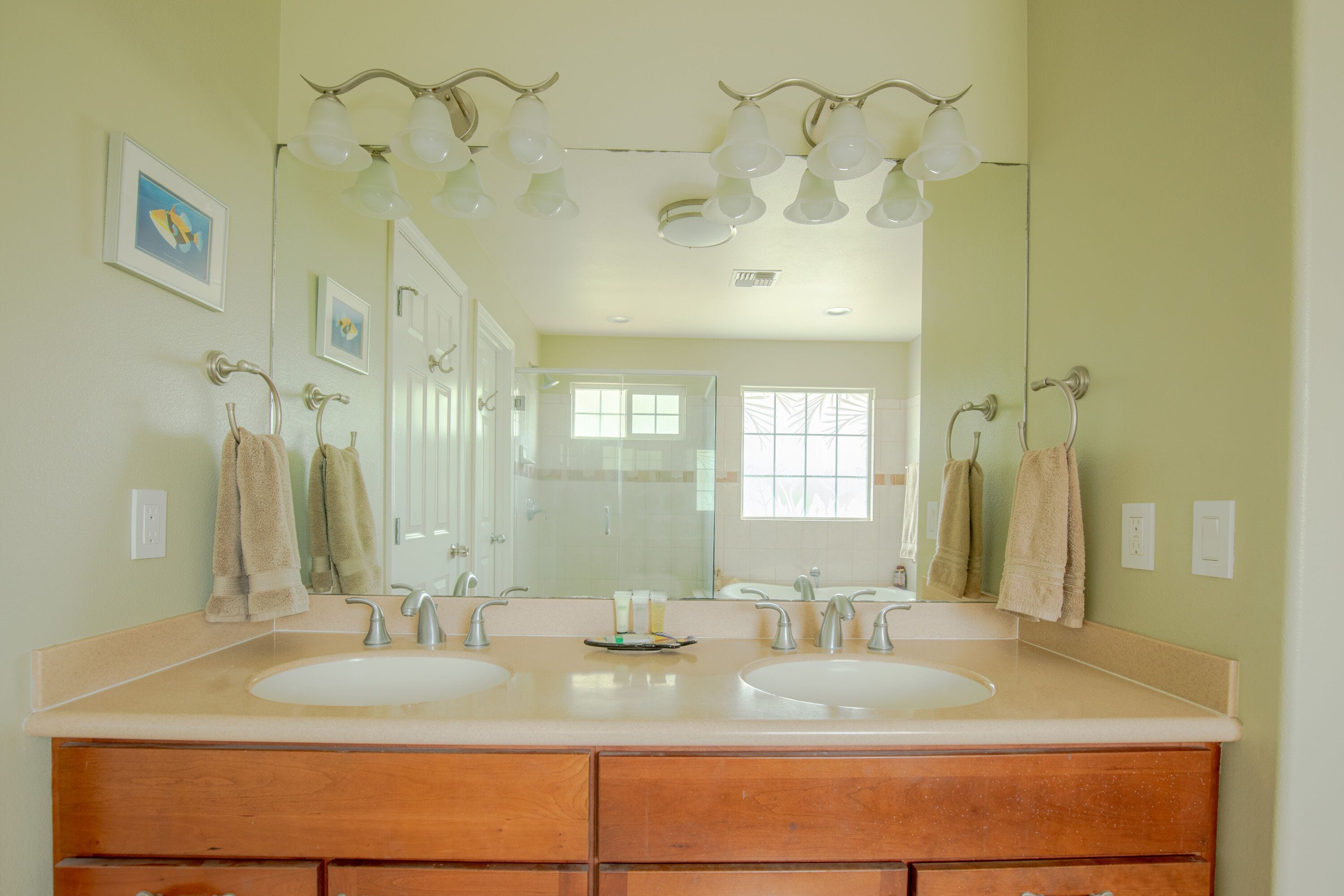 Hair dryer, towels, soap, shampoo