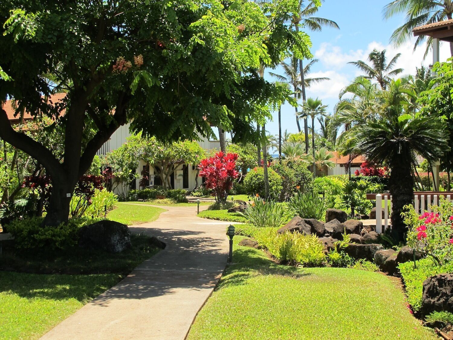 A pathway leading through a well-maintained garden with various plants and a large tree.
