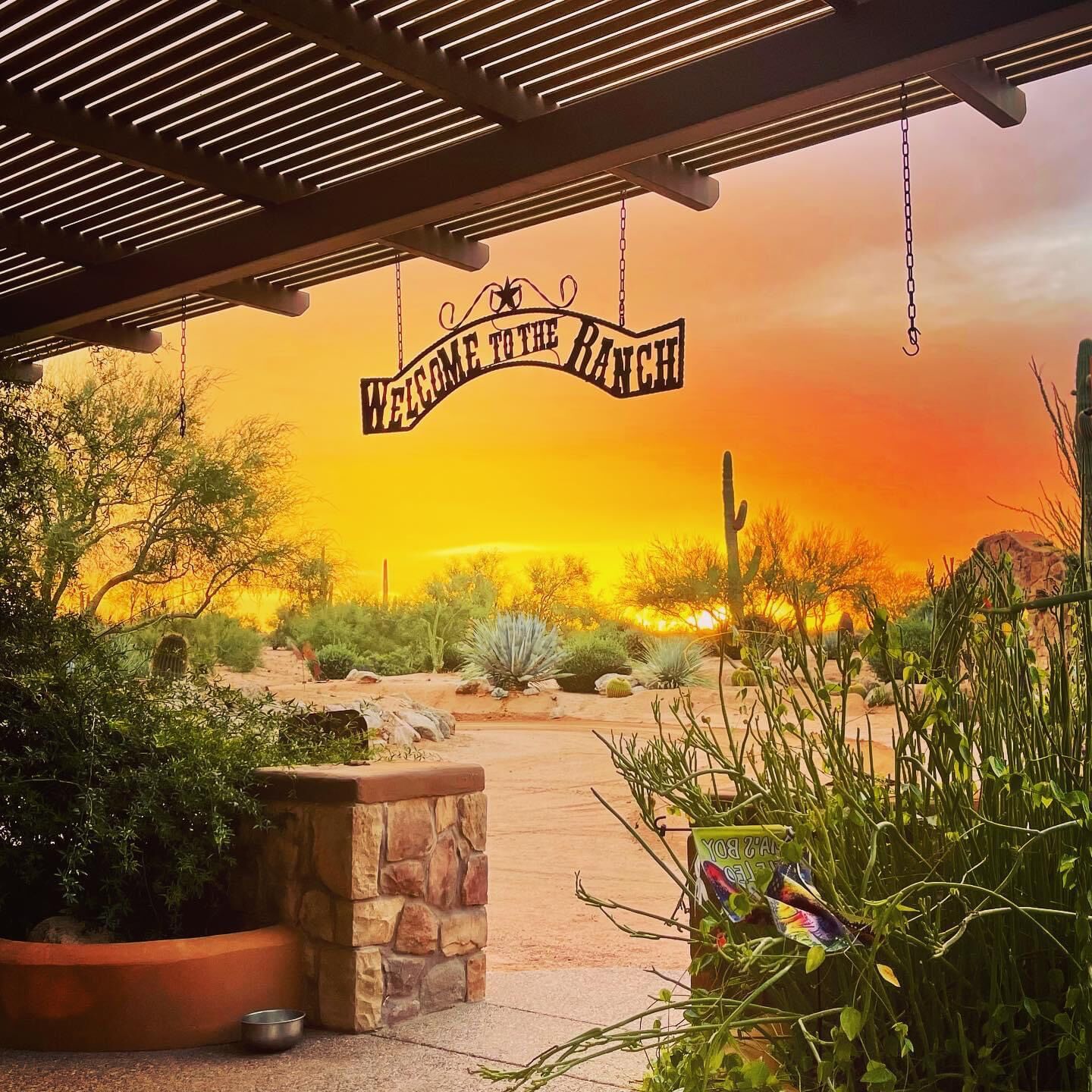 Serene & Secluded, Heart of the Sonoran Desert, 62 acre EcoRanch on Natl Forest