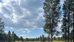A well-maintained grassy field with a wooden fence, tall trees, and a distant view of a cabin. - RIVER FRONT front property with Hot Tub! Bring the dogs! (Bend)