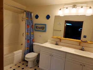 Combined shower/tub, hair dryer, soap, toilet paper