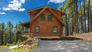 A log cabin with a porch, surrounded by a forest.